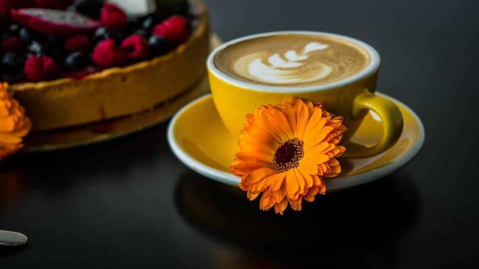 Aerocafe Hotel Partizanske Ngoại thất bức ảnh